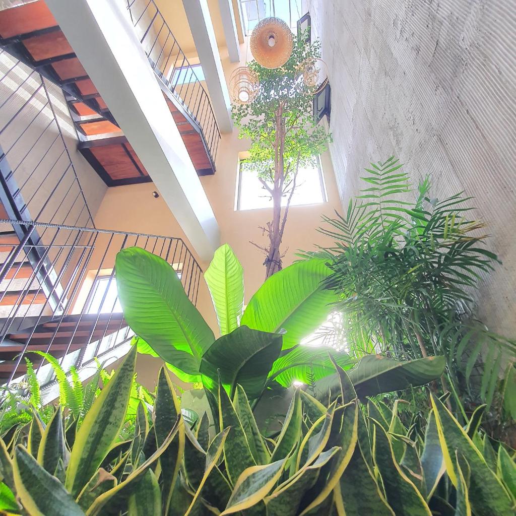 Cagina Boutique Hostel photo 3