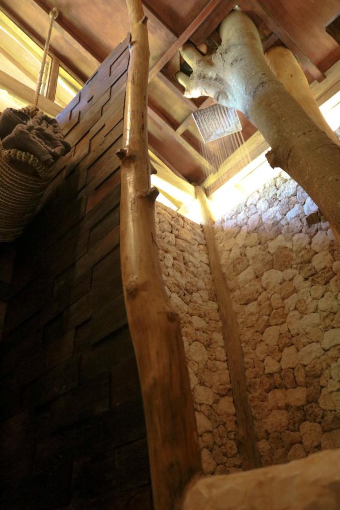 Roots Tree House photo 1