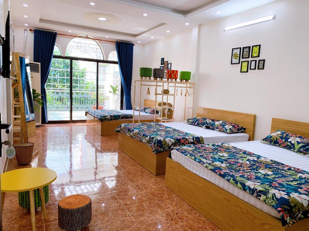 Hostel Xoài Xanh