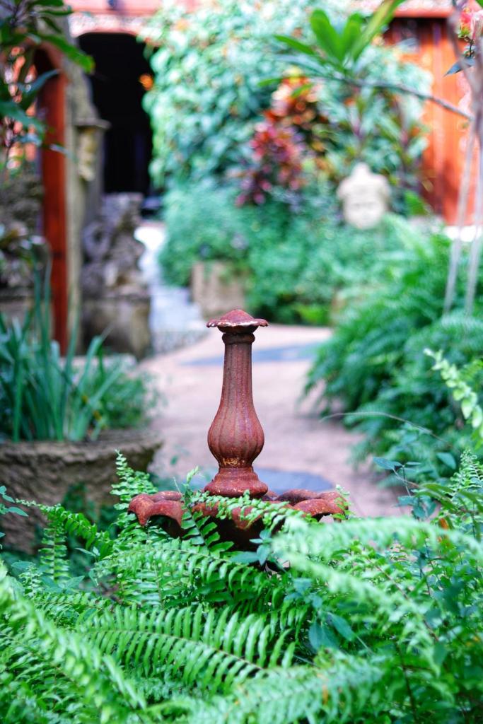 Whitsundays BNB Retreat photo 4