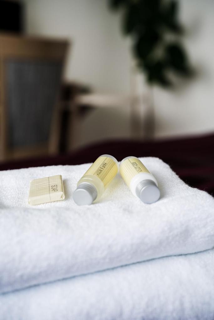 Одноместный (Одноместный номер), B&B HOTEL UNIVERSITY BRNO