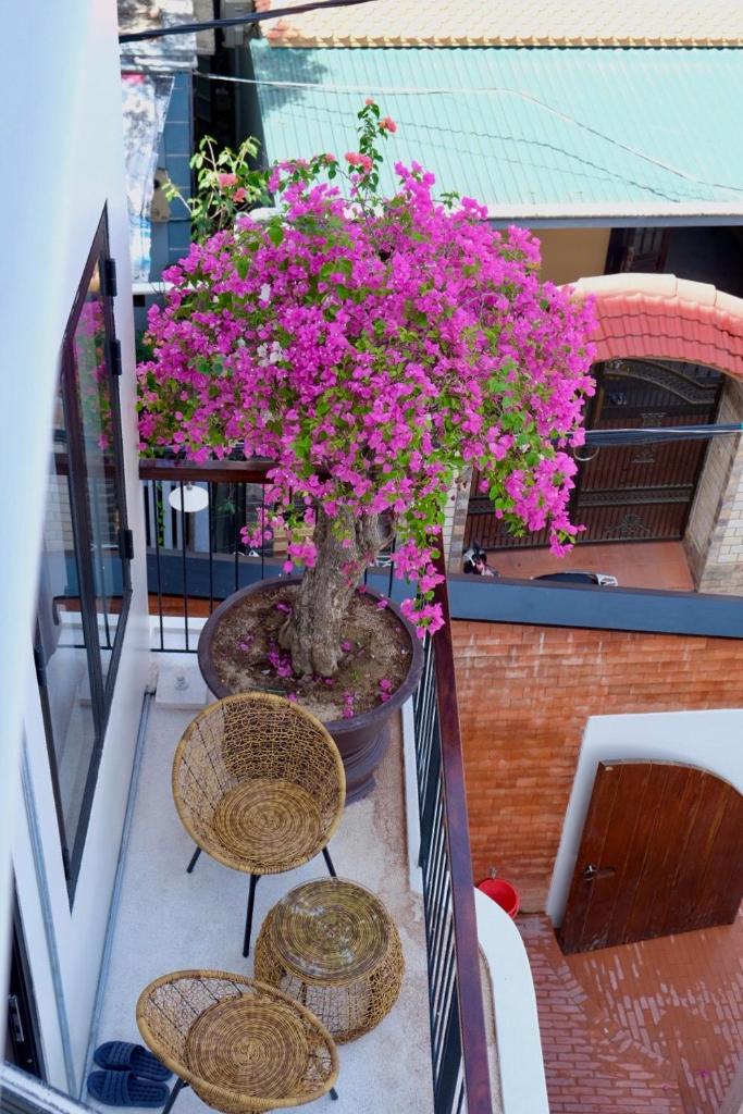 Вилла (Вилла), Florence Villa Hue