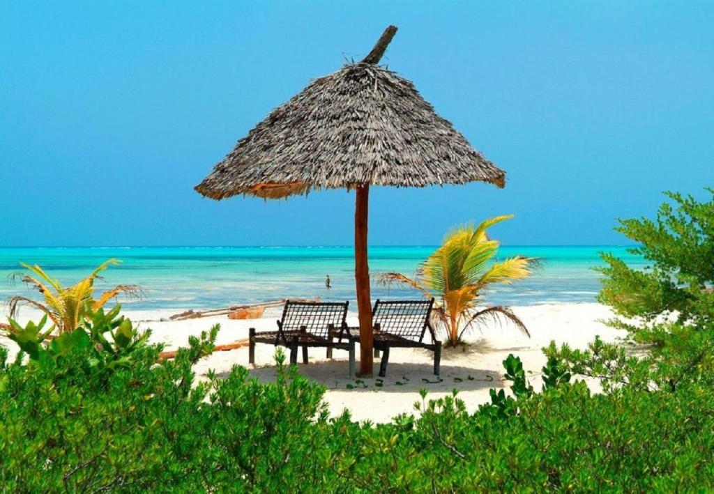 Hakuna Majiwe Beach Lodge photo 3
