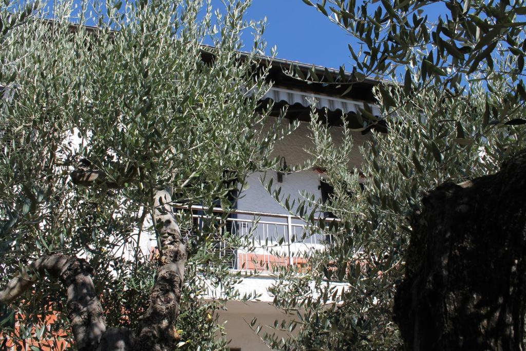 Casa Vì - Toscana, Lunigiana, near Cinque Terre photo 1