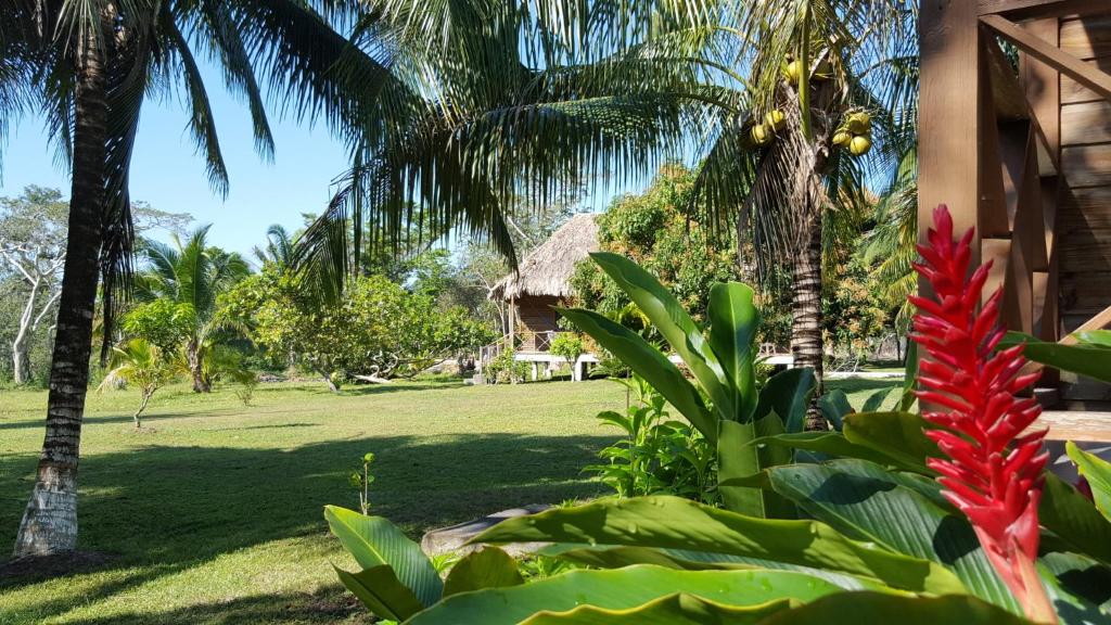 Nature Resort photo 2