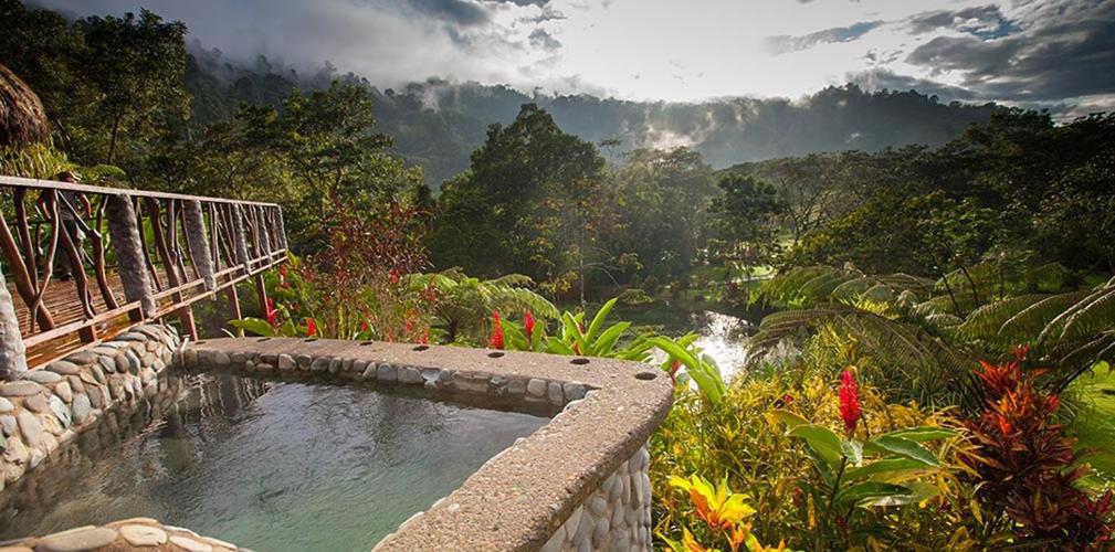 Rafiki Safari Lodge photo 3