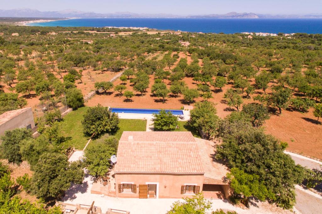 Finca can Jaumi By homevillas360 photo 2