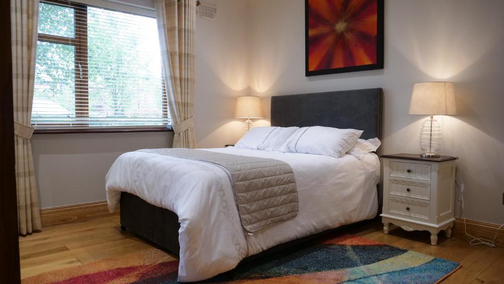 Mullingar town apartment 2 bedrooms photo 4