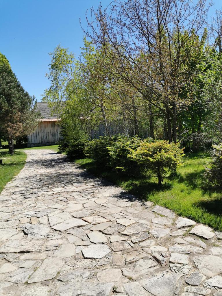 Agroturystyka w ogrodach photo 4