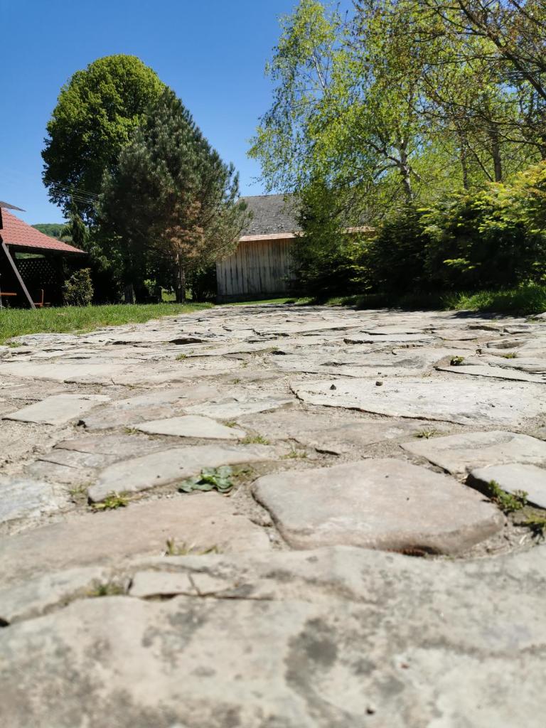 Agroturystyka w ogrodach photo 3