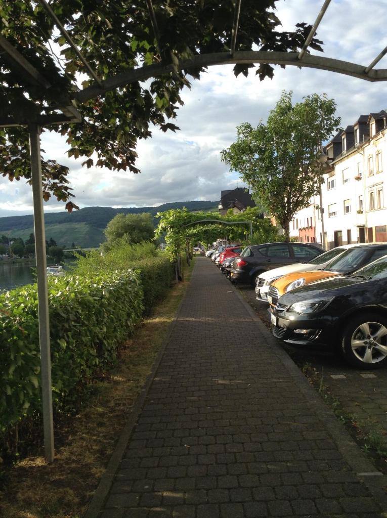 Mosel Panorama photo 1