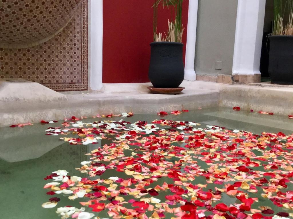 Riad Loudaya & Spa photo 2