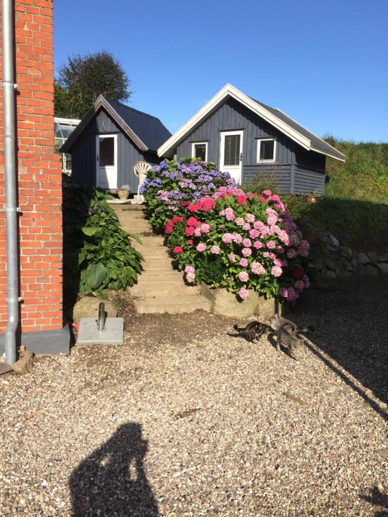 Brørup Kjærsgaard, Hygge, ro, natur og landliv photo 3