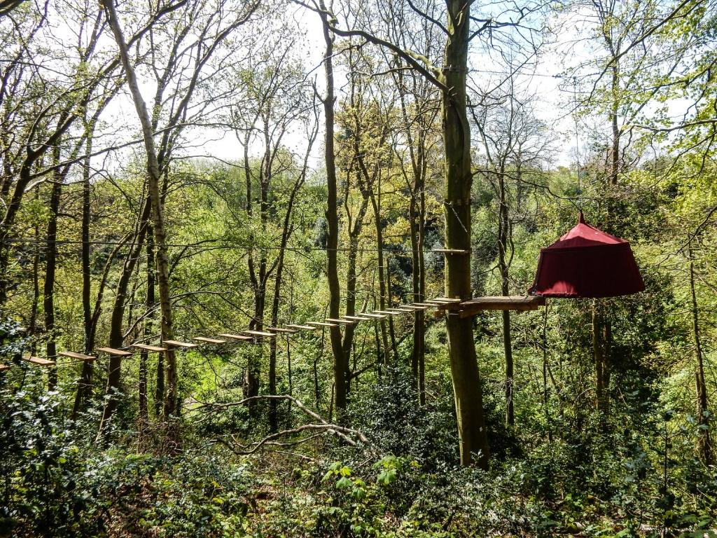 Woody Park photo 3