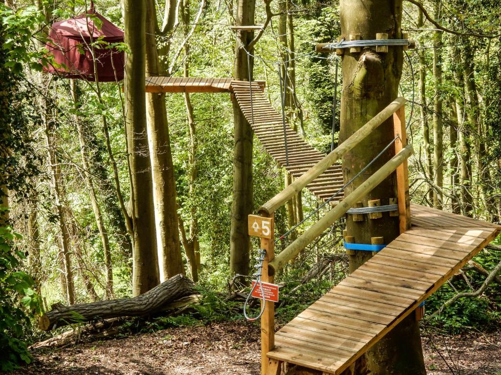Woody Park photo 4