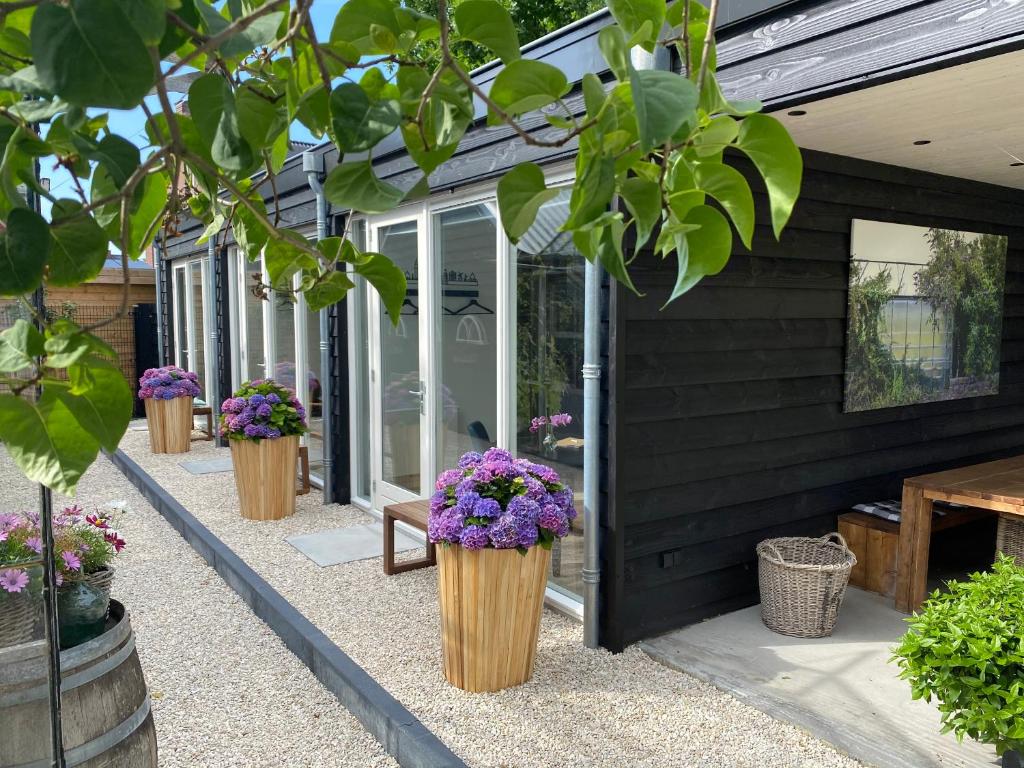 B&B Bij tante Teun photo 2