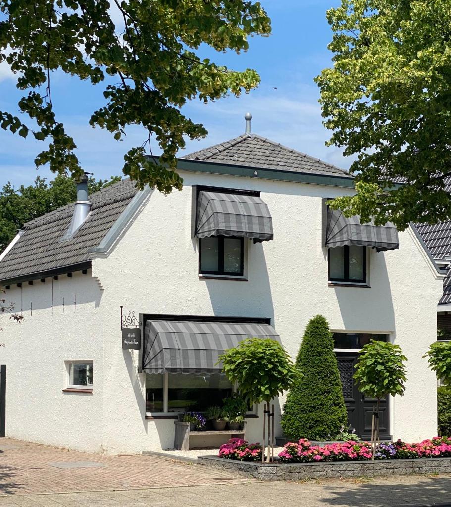 B&B Bij tante Teun photo 3