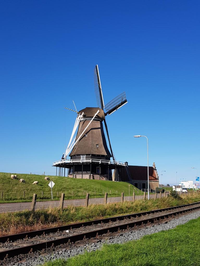 De Stadshoeve photo 3