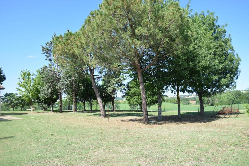 Ca' Masini photo 3