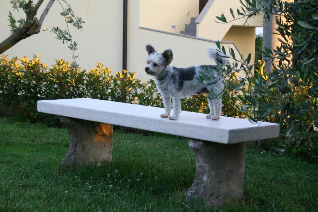 DAMJANIĆ HOLIDAY HOUSE photo 2