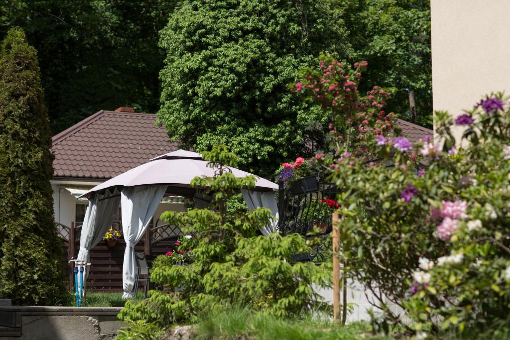 Villa Solis photo 4