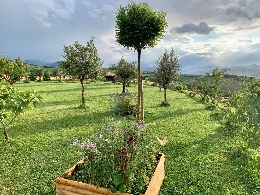 B&B La Casa Del Sole photo 2