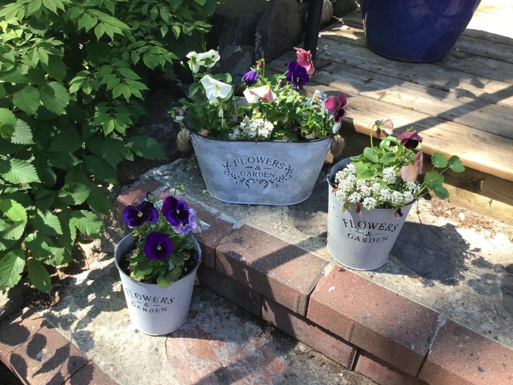 The Stella Rose B&B photo 2