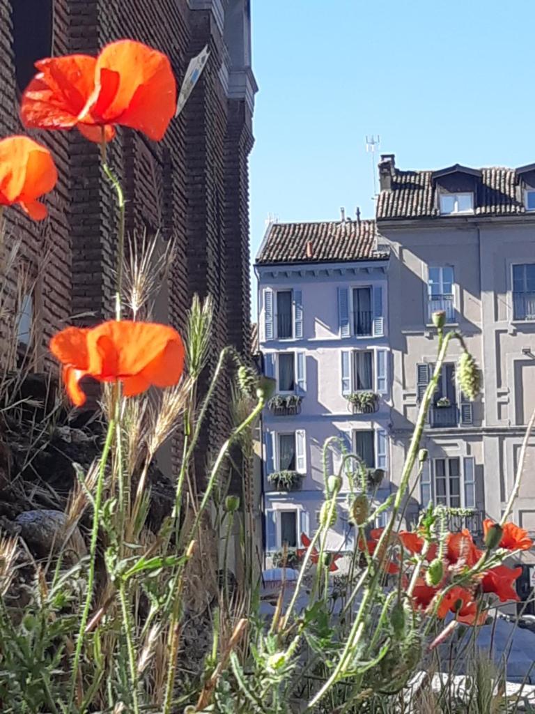 Le Stanze del Cardinale photo 1
