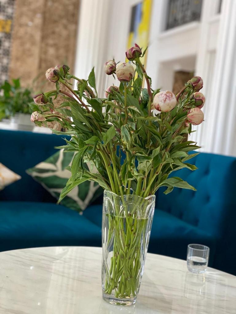 Khách sạn Ngọc Lan Hạ Long Hotel