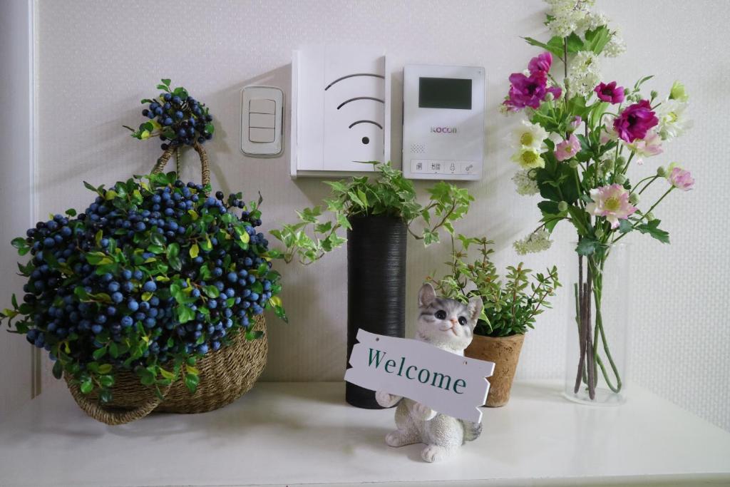 Incheon Airport Mr Kim Guest House