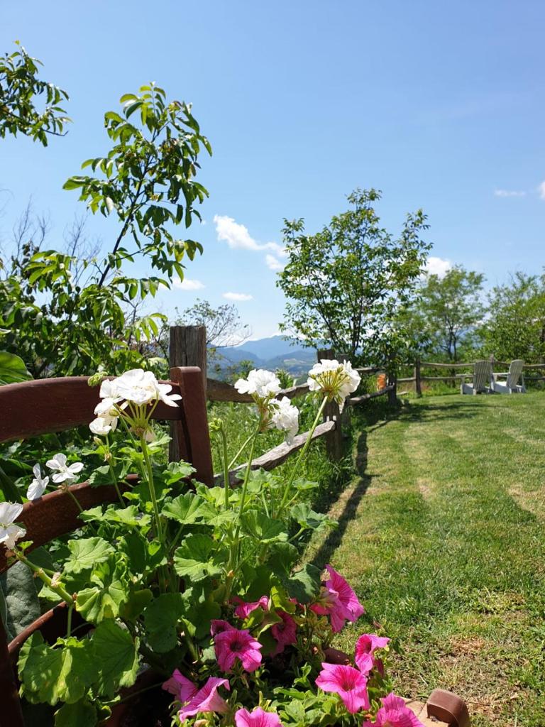 B & B La Primavera photo 2