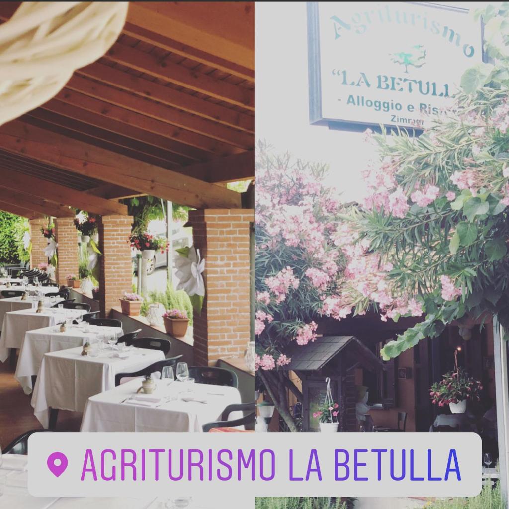 Agriturismo La Betulla photo 4