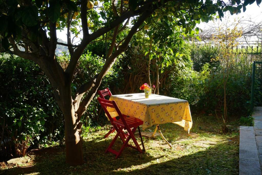 Cosy guest house with private yard photo 1