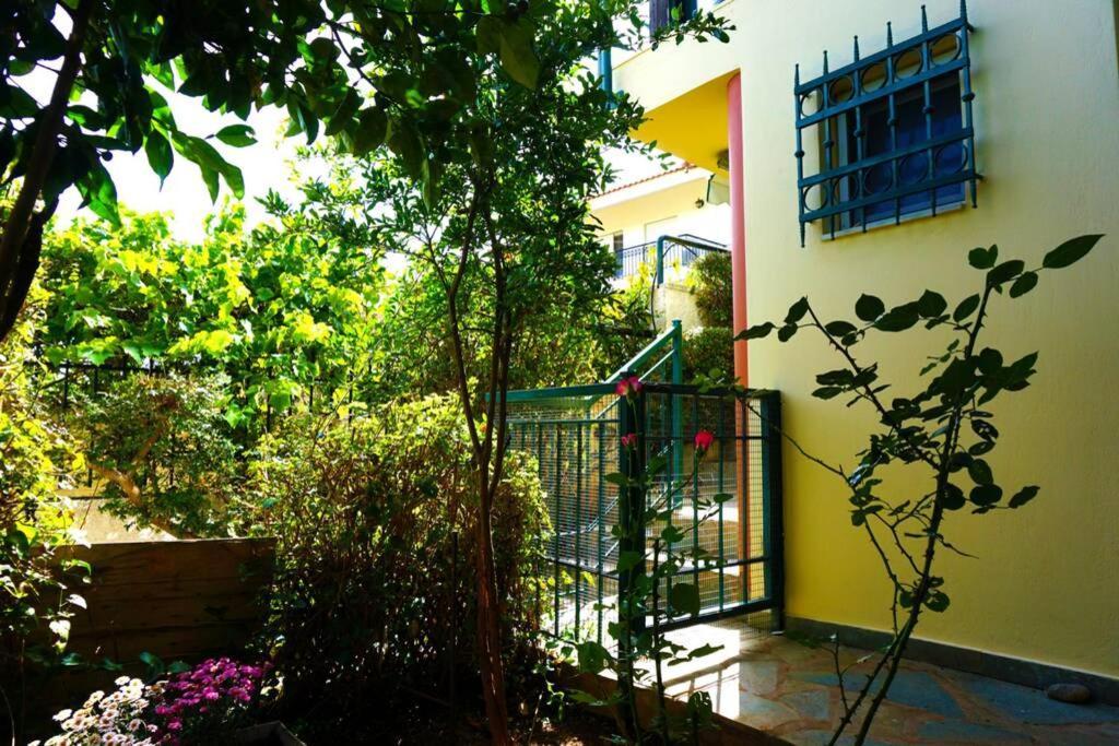 Cosy guest house with private yard photo 3