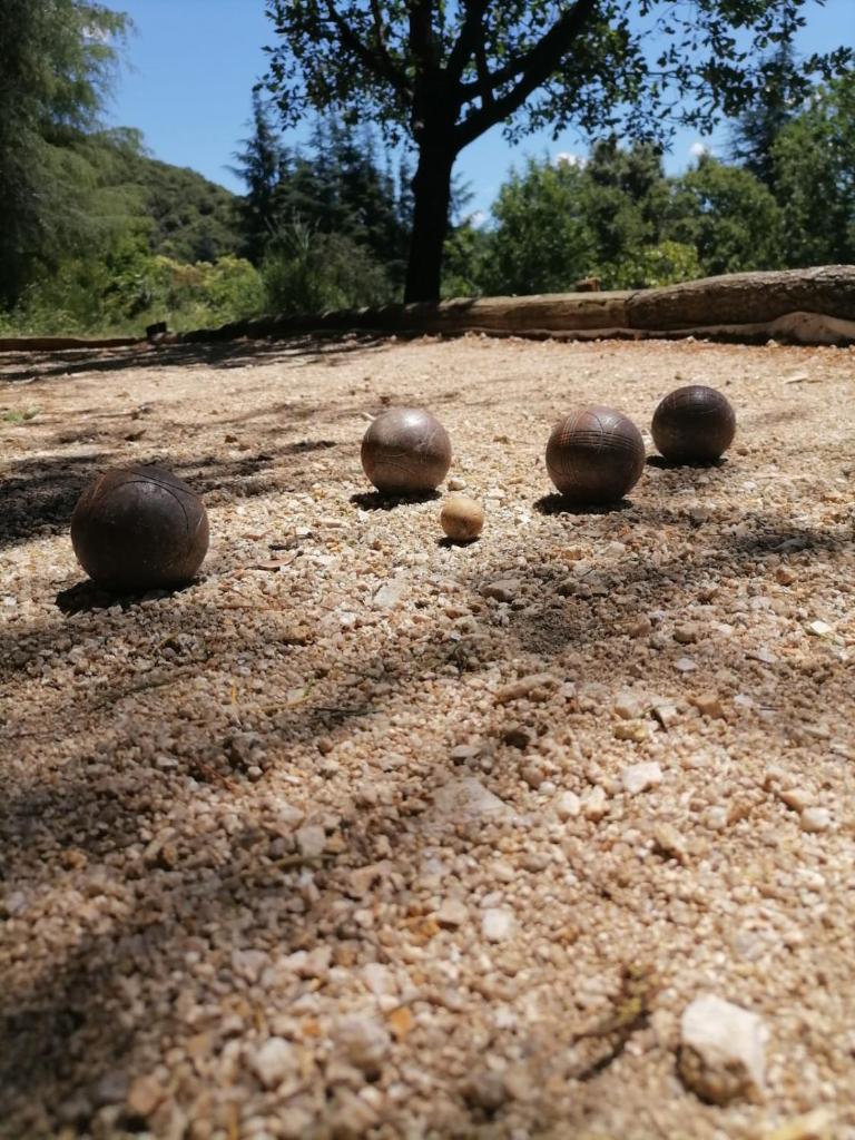 Pura Vida photo 3