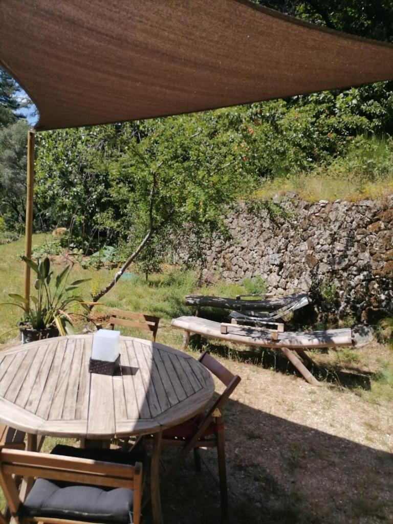 Pura Vida photo 2