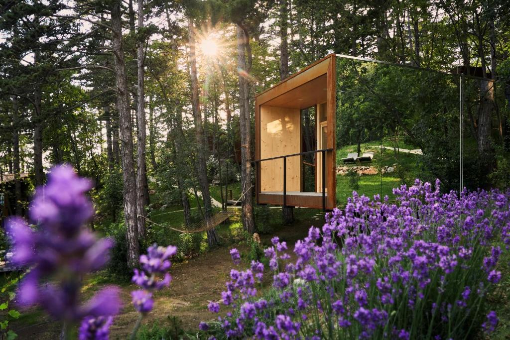 Theodosius Forest Village - Glamping in Vipava valley photo 4