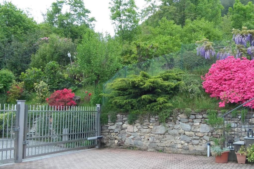 LAKE ORTA OPENSPACE garden beach photo 2
