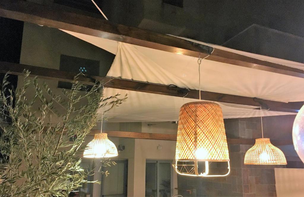 Chill out ground floor apartm +private garden+WIFI photo 4