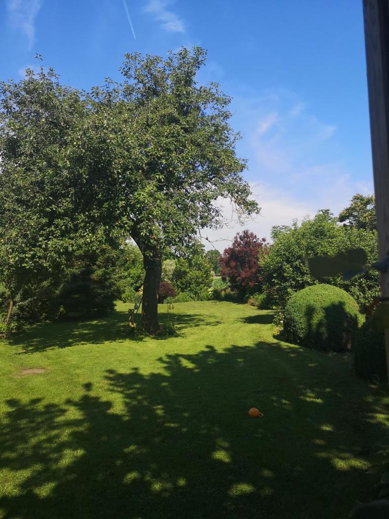 Vakantieboerderij Misset photo 3