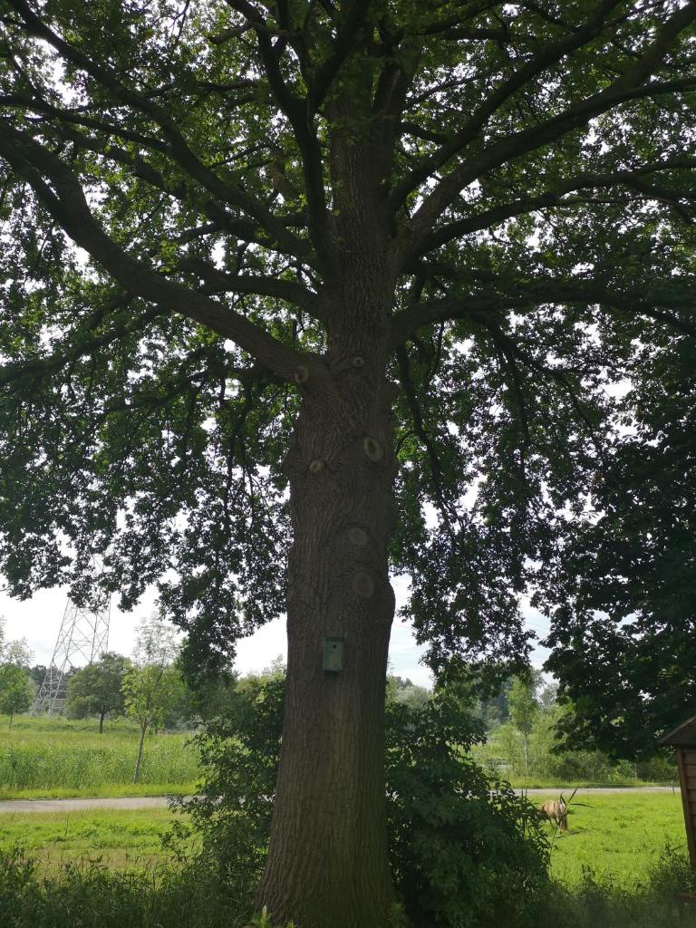 Vakantieboerderij Misset photo 2