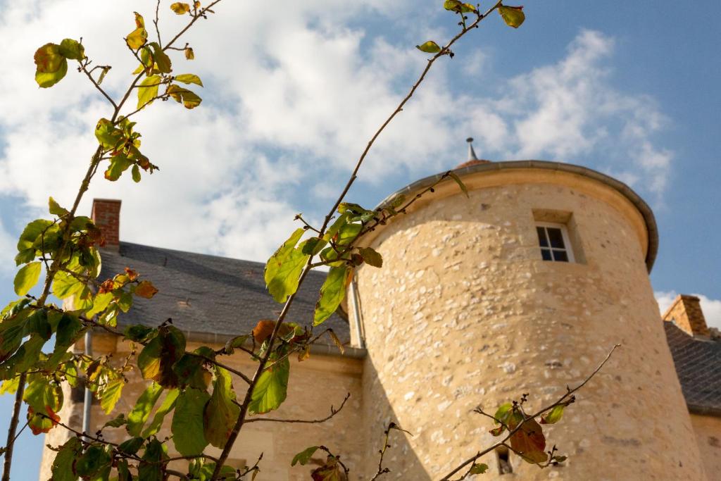 Ferme du Château photo 3