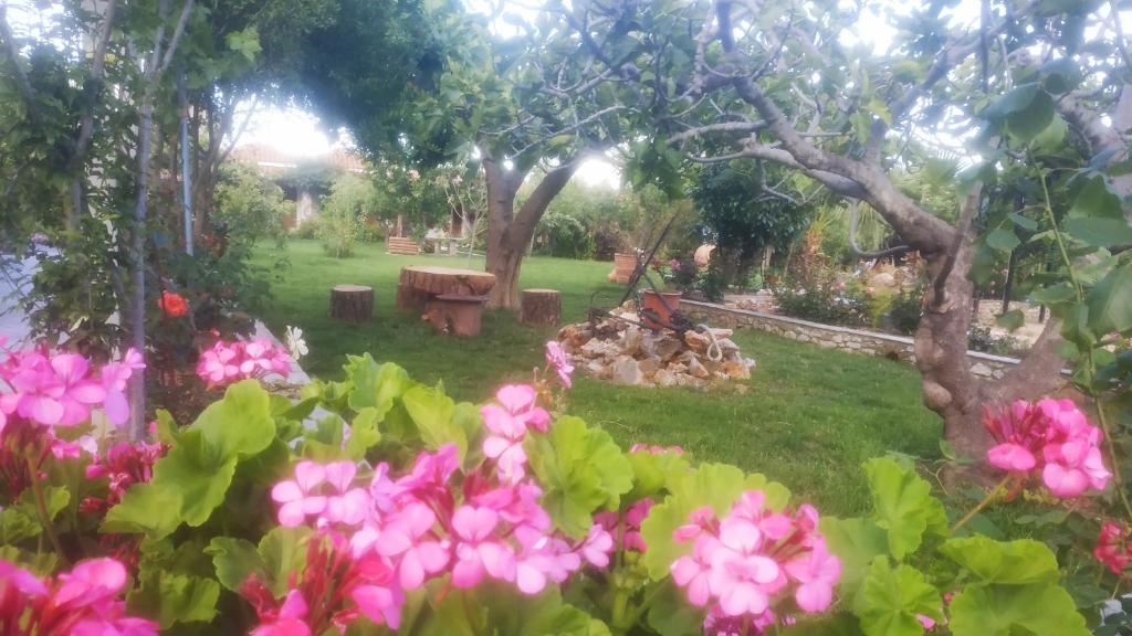 Maniatis Garden photo 4