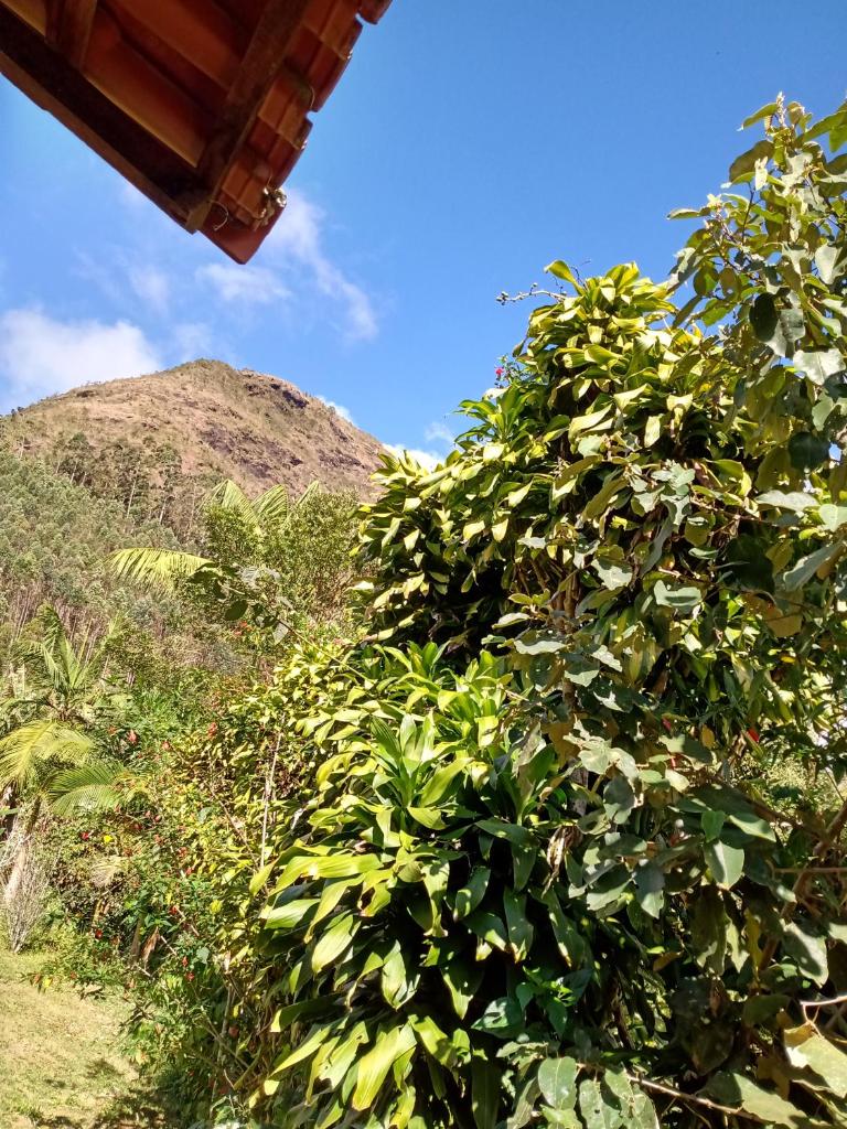 Chales do Antonio photo 2
