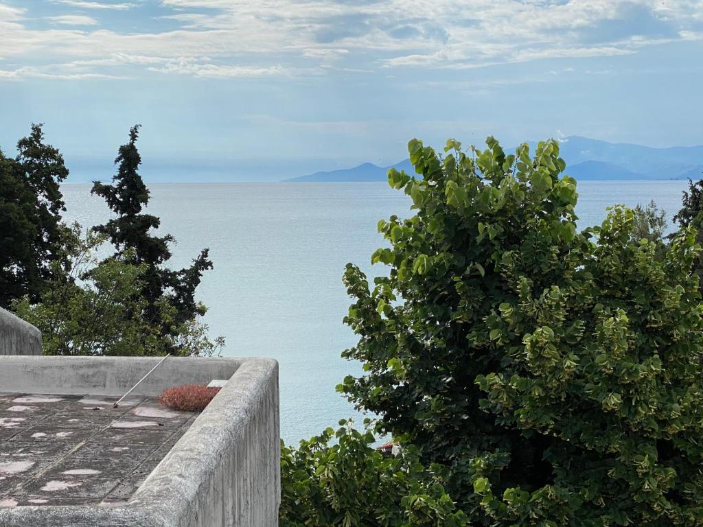 Irini Seaside Apartment photo 2