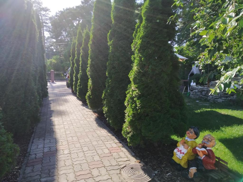 Hotel Veagles photo 2
