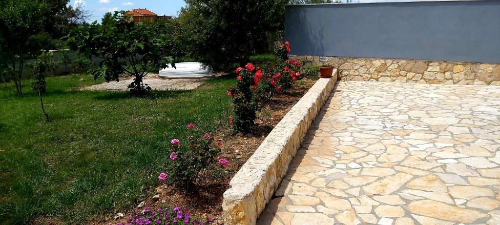 Bicho House photo 2