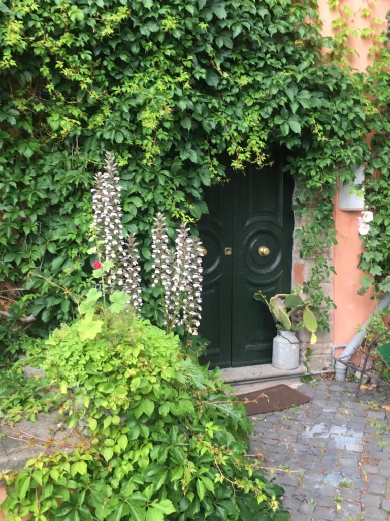 La Fontanella - Piccolo Appartamento nel Centro Storico di Nemi photo 3