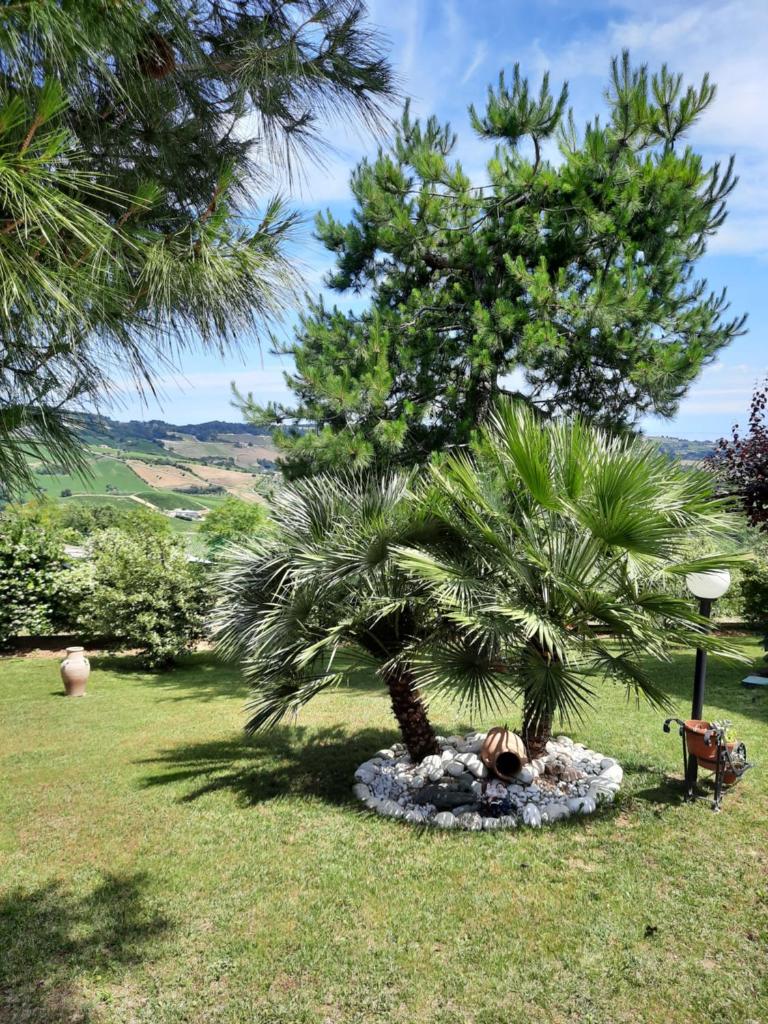 Maison Margot photo 4