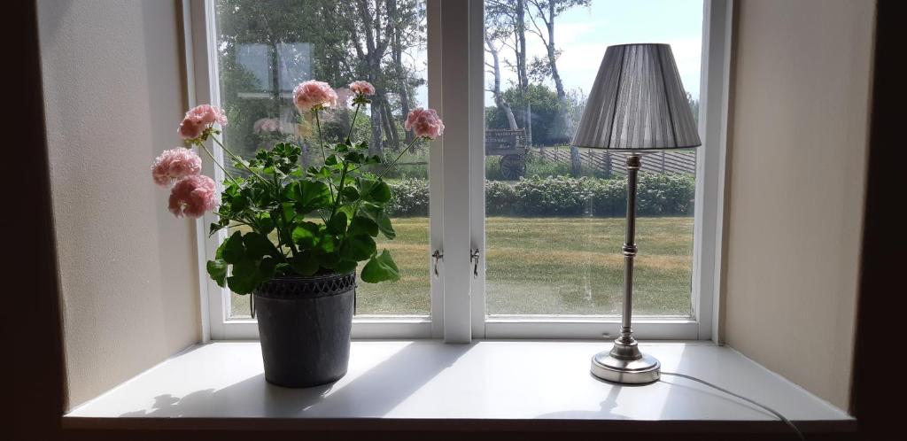 Björkängs Vandrarhem photo 2